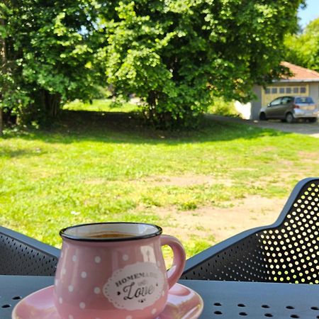 Apartment Holiday Vrnjačka Banja Exteriér fotografie