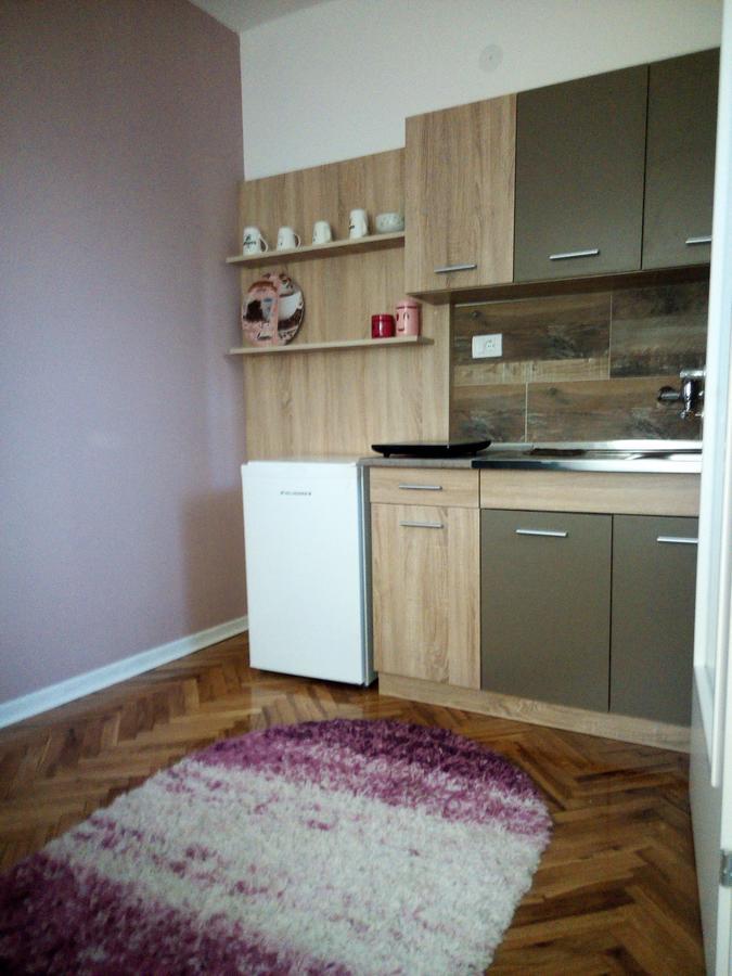 Apartment Holiday Vrnjačka Banja Exteriér fotografie