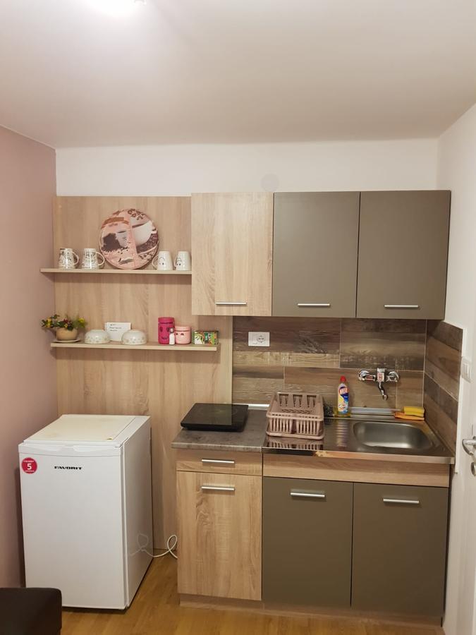 Apartment Holiday Vrnjačka Banja Exteriér fotografie